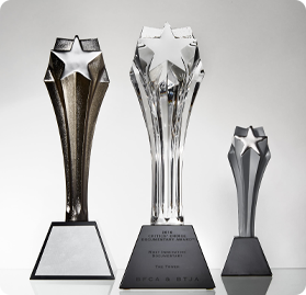 Award trophy 4